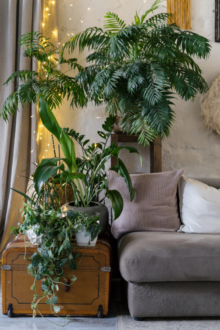 Cozy Home Inspiration for Plant Lovers: Bringing Nature’s Comfort Indoors