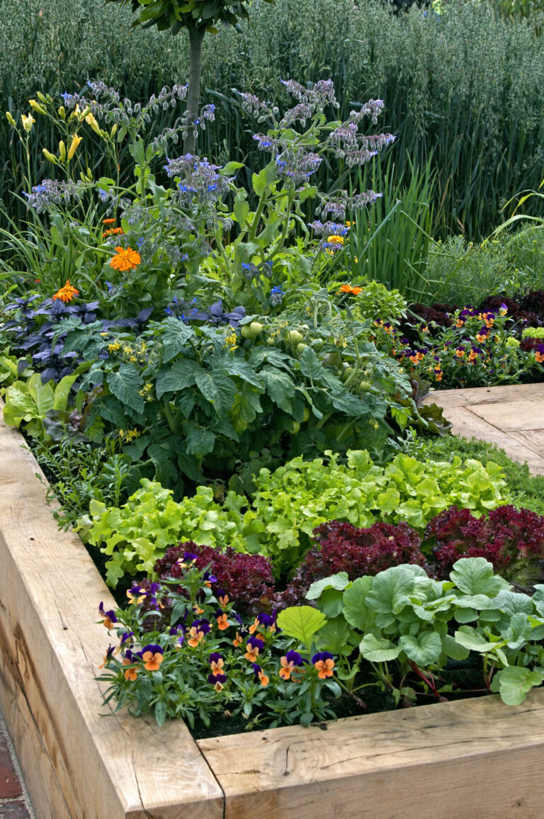 Raised Garden Bed Ideas for Beginners: Your Easy Start to Growing