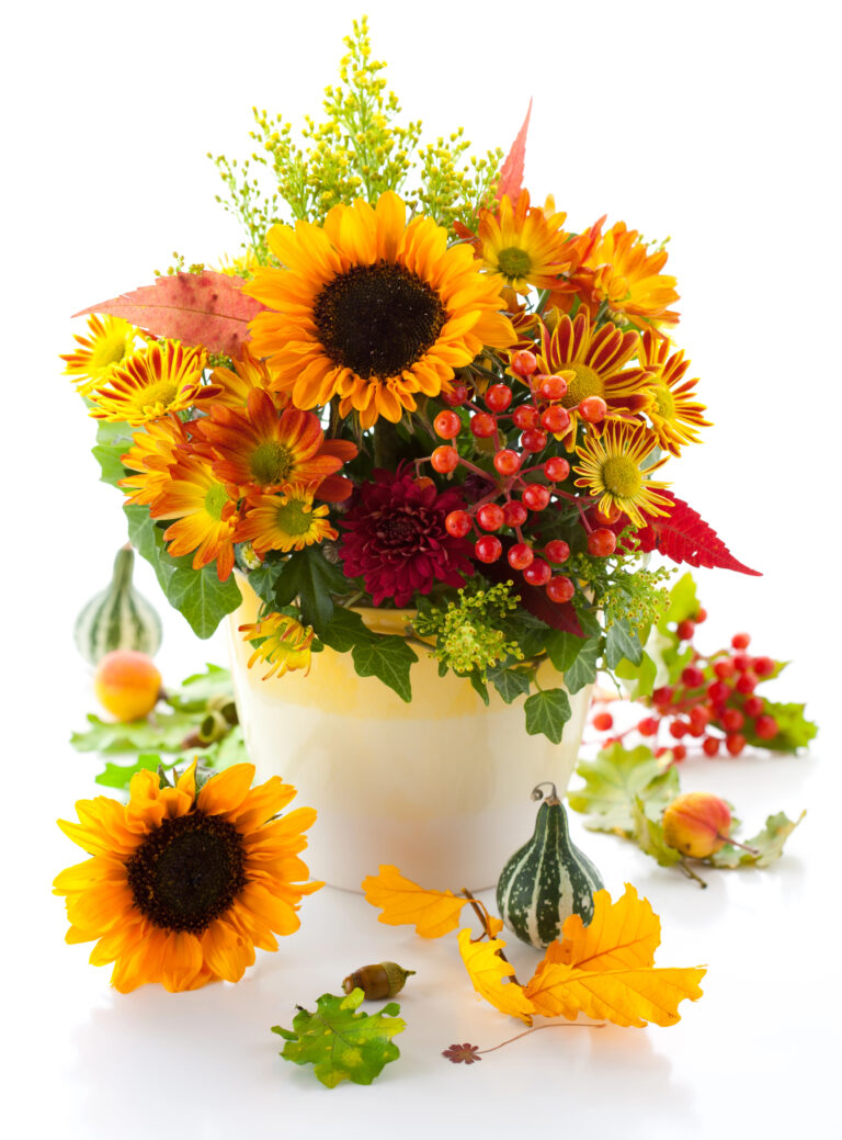 Bright and Bold: Sunflower Bouquet Ideas for Every Occasion
