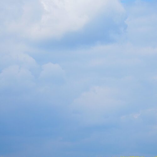 oilseed rape, field of rapeseeds, field, spring, agriculture, outlook, blossom, bloom, rape blossom, mood, heaven, dirt road, plant, landscape, cloud, yellow, blue, environment, nature, relaxation, field, spring, spring, spring, agriculture, heaven, heaven, heaven, heaven, heaven, landscape, landscape, blue, environment, environment