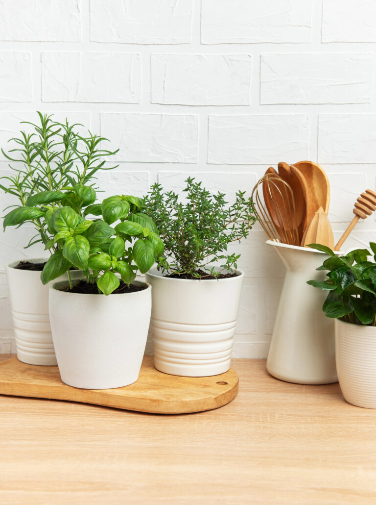 Easy Potted Herb Garden Ideas for Small Spaces