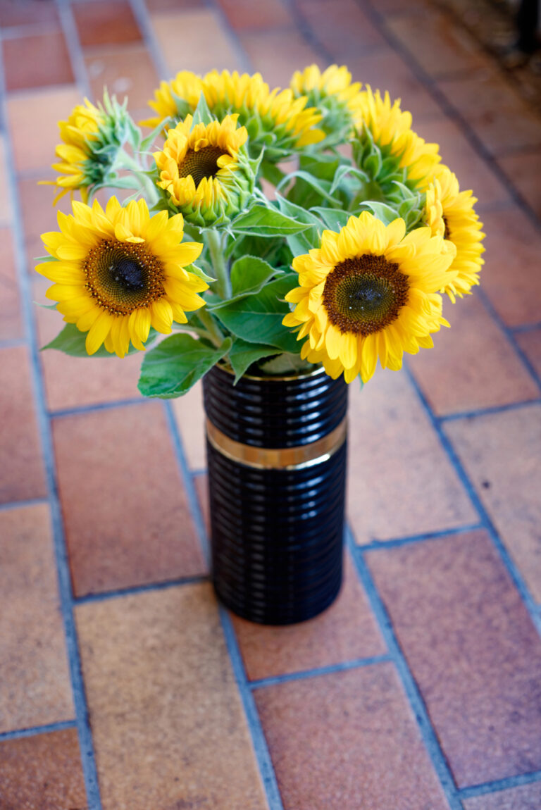 Blooming in Black: The Best Flowers to Pop in a Chic Black Vase