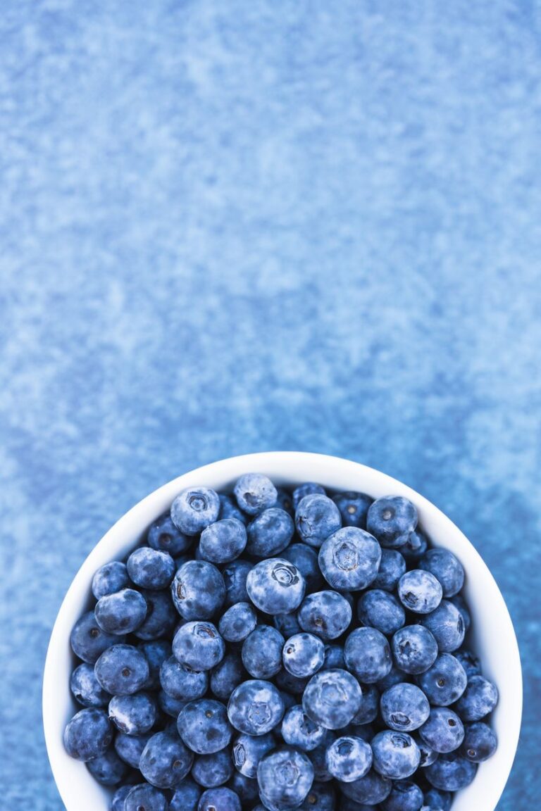 blueberries in white ceramic bowl