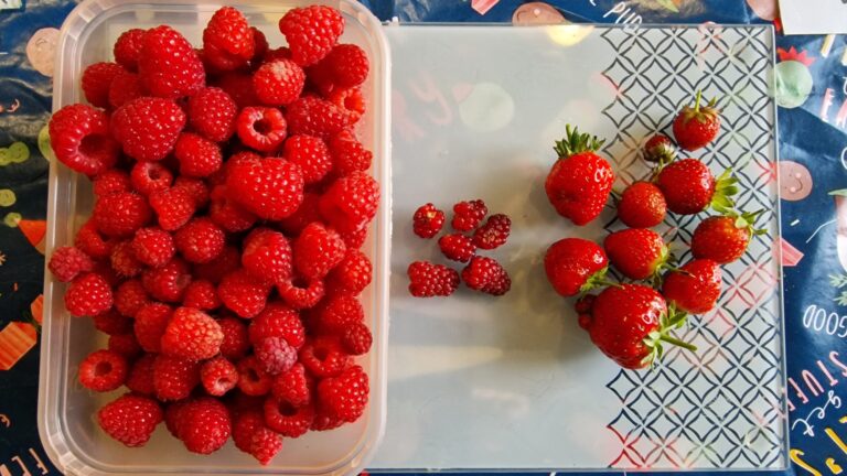 Low inflammation diet ideas — simple meals for women’s hormones