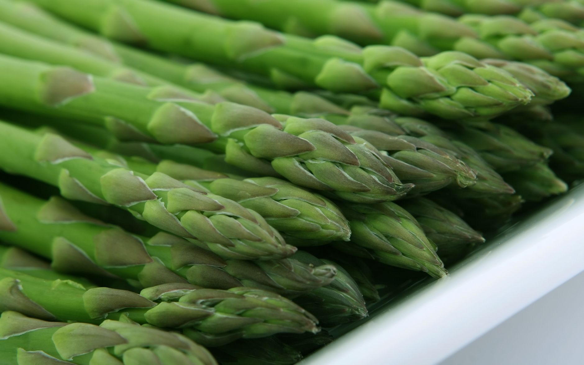 fresh asparagus on plate